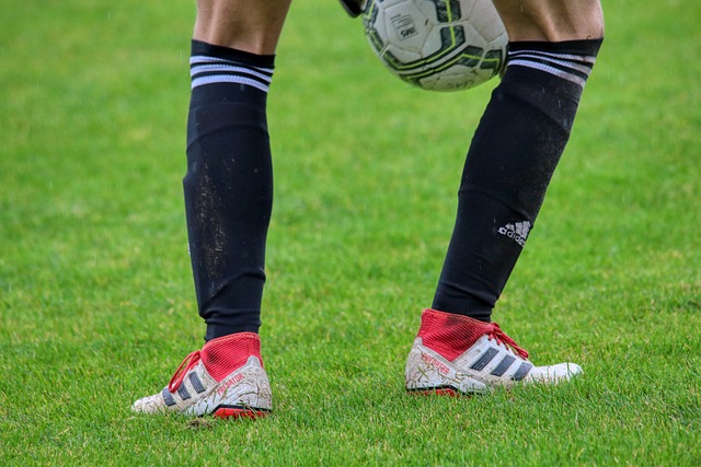 这份名单既 这份名单既