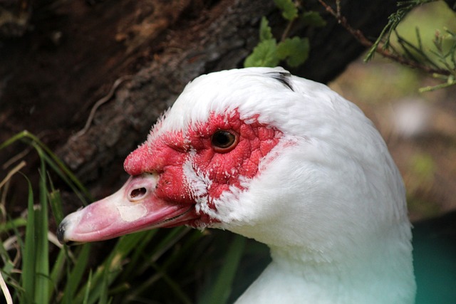 战胜布赖顿 战胜布赖顿