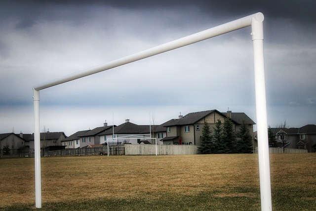 中的统治地 中的统治地